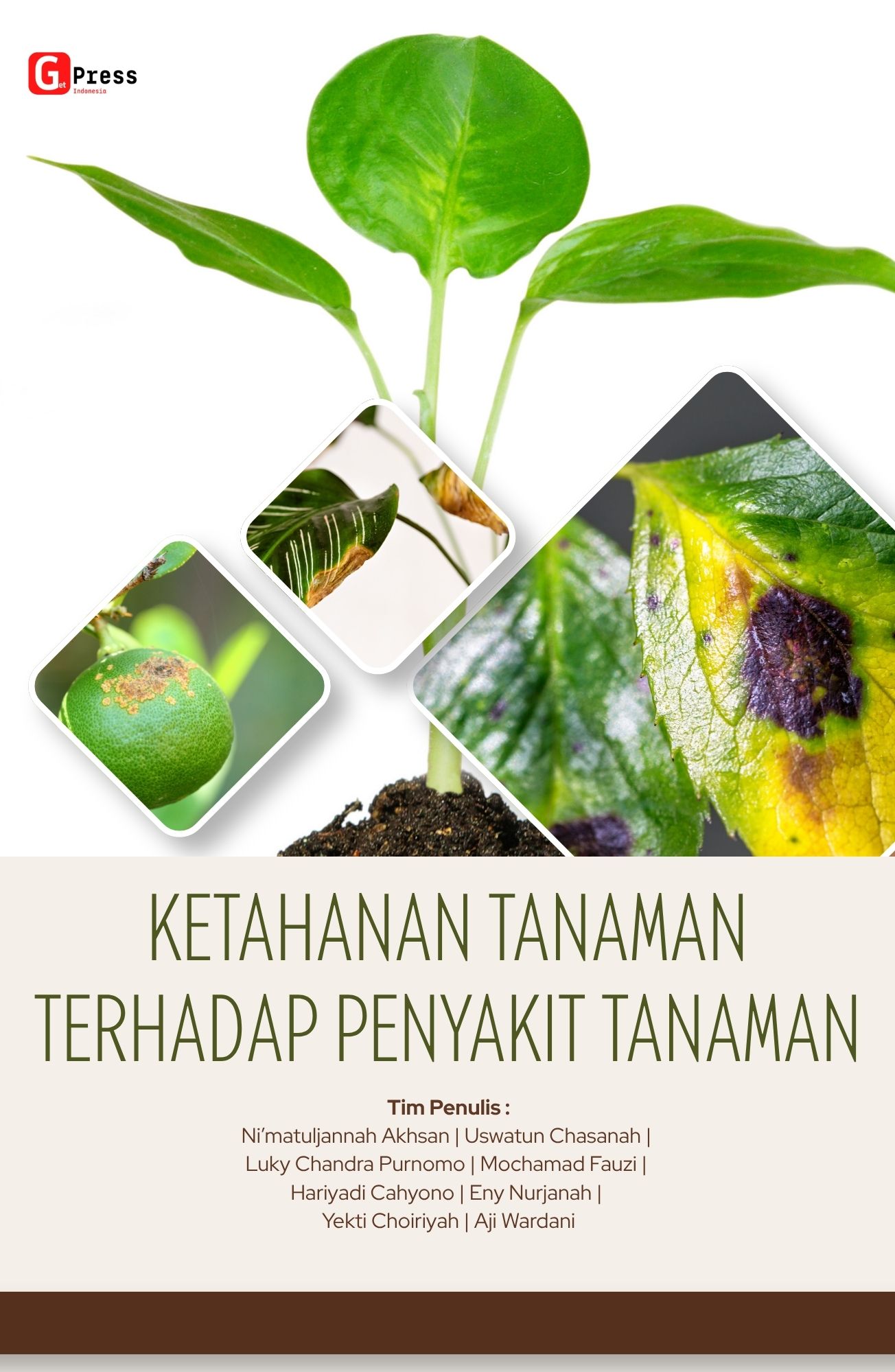Ketahanan Tanaman Terhadap Penyakit Tanaman